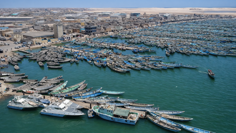 Assistance-technique pour le Système VTS du Port de Nouadhibou Assistance-technique pour le Système VTS du Port de Nouadhibou